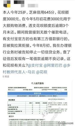 花呗逾期还款后被冻结：原因、解冻方法与应对策略