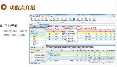 镇政府软件正版化自查报告：正版软件的普及与挑战