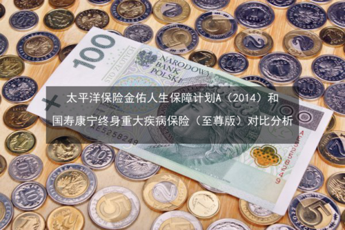 康宁终身保险：保障与现金价值的完美结合