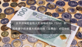 康宁终身保险：保障与现金价值的完美结合