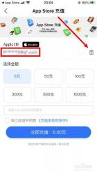 如何为Apple ID充值：详细步骤指南