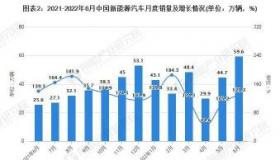 中国最好的电动汽车：销量与市场分析