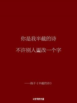 海子的经典诗句励志：生活、自然与存在的交织之美