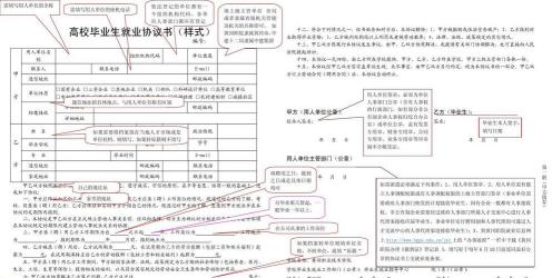 就业协议书丢失的应对方法：如何快速找回并顺利就业