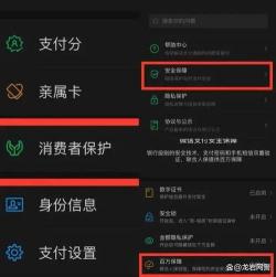 支付宝来分期是否上征信？了解背后的真相和影响