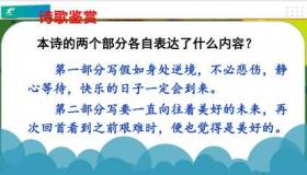 未选择的路教学设计：启发学生思考与启示