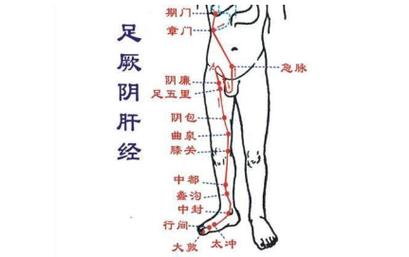 探索期门的准确位置：图解肝经之巅，守护健康之门