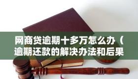 美借怎么样：逾期后果及再借可能性详解