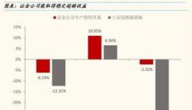 证金公司：稳定市场的关键角色