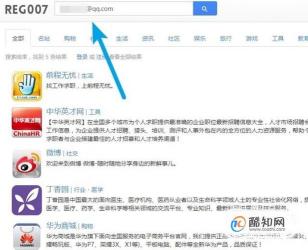 探索reg007这个网站：可靠吗？如何使用其查询注册过的网站？