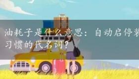 油耗子是什么意思：自动启停装置的别称，还是驾驶习惯的代名词？