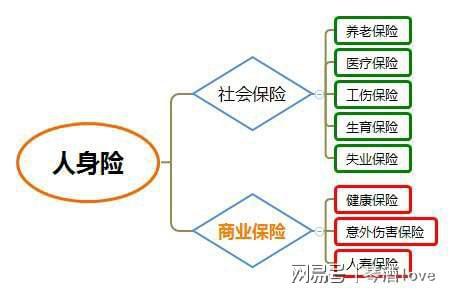 人身保险的保险标的是人的寿命和身体