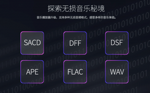 完美解码设置：专业高清播放器的使用指南