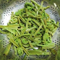 家常山野菜做法：简单几步，享受山野菜的鲜美