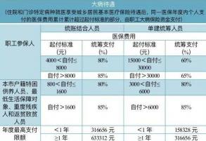 医疗保险怎么交：缴费方式详解与指南