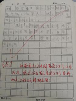 开学周记600字：新学期，新起点，我的探索与成长之旅