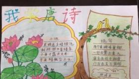 开学了手抄报资料大全：创意与灵感一网打尽