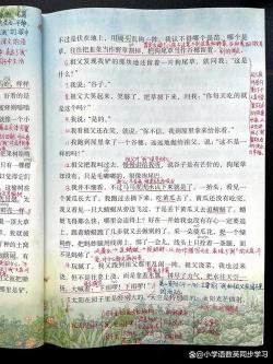 我与祖父的自在乐园：那些无拘无束的园子时光