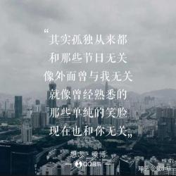 孤独寂寞中的伤感经典：心灵的独白与寻觅