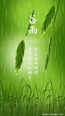 关于谷雨的谚语：农耕智慧与民间传统的结晶