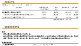 平安鑫利20年返钱情况一览表：保障与收益的双重考量