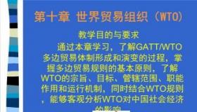 WTO：世界贸易组织的深度解析与影响