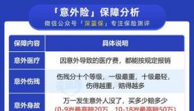 哪些保险公司有学平险？全面解析学平险市场，助您轻松选择