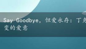 Say Goodbye，但爱永存：丁克森深情演绎离别与不变的爱意