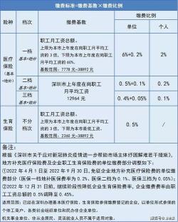 医疗保险缴费比例：职工医保的权益与责任