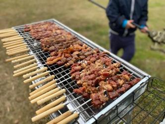 BBQ：户外烧烤的乐趣与魅力