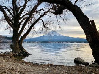 日本游记：探索富士山下的魅力之旅