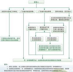 退保险需要什么手续：详解所需材料与办理流程