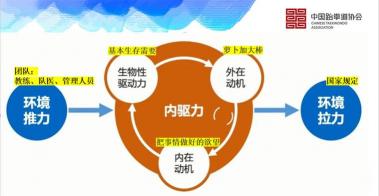 兴奋剂的成分揭秘：包含哪些物质，作用及风险