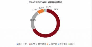 员工持股计划：实施策略、优势与案例分析