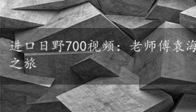 进口日野700视频：老师傅袁海涛与广汽日野的信赖之旅