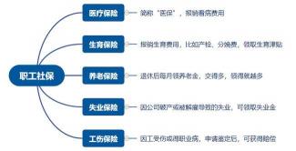 什么年龄交社保最划算：养老保险与医疗保险的综合考虑