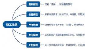 什么年龄交社保最划算：养老保险与医疗保险的综合考虑