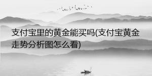 支付宝买黄金会亏吗？揭秘黄金基金投资的风险与机会