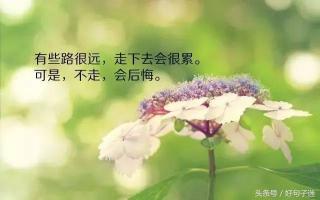 八个字的唯美句子爱情：执手相伴，情深不渝