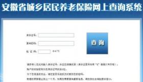 如何查询养老保险缴费情况：网络查询与电话查询两种方式详解