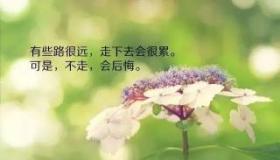 八个字的唯美句子爱情：执手相伴，情深不渝