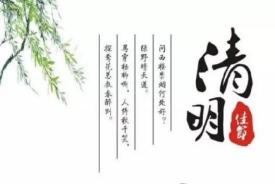 清明节古诗四句精选，感受古人清明情思