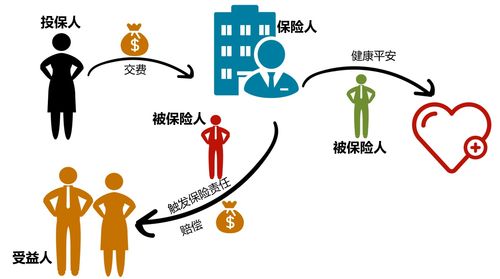 投保人可以变更吗？详解保单投保人变更流程及注意事项