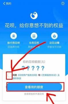 蚂蚁花呗开通不了：原因解析与解决策略