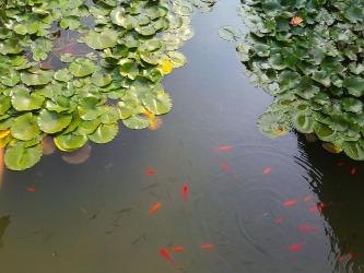 雨后的天空怎么形容：碧透如洗，澄澈如画