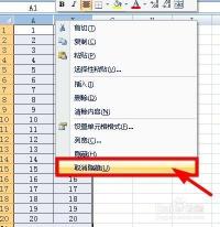 Excel实用技巧：如何使用EntireColumn快速隐藏与取消隐藏列