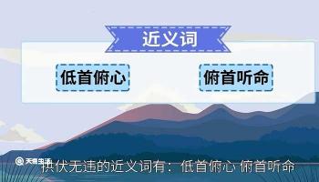 拱伏无违的意思：西游记中的敬畏与顺从文化解析