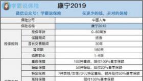 中国人寿重疾险产品详解：保障范围、特性和实用性探讨