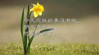 正能量激励人的歌曲：点燃心灵的音乐之光