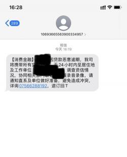 马上金融欠款多少立案：法律与实际操作解析